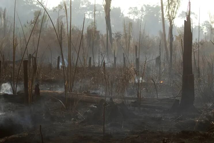 Vista de los daños producto del incendio en la selva amazónica, en Porto Velho (Brasil).