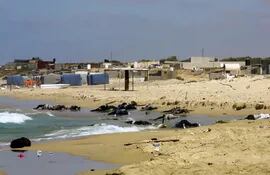 libia-hallan-cuerpos-sin-vida-de-170-inmigrantes-africanos-181740000000-1123797.JPG