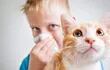 No todas las personas son alérgicas a los gatos. Las alérgicas, generalmente son personas mas propensas a sufrir también de otros tipos de alergias.