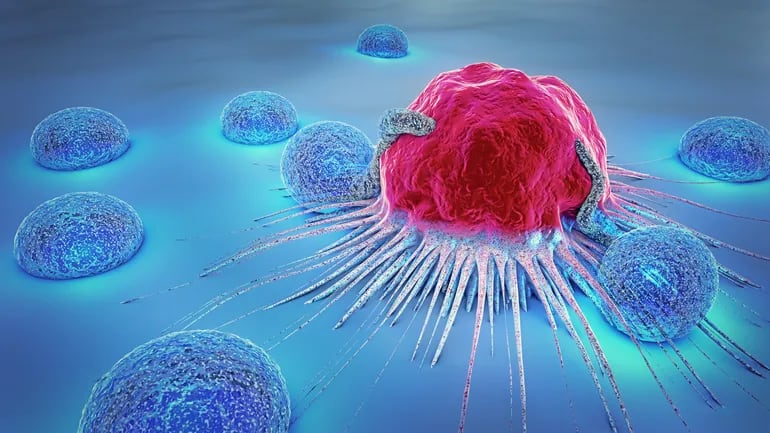 Las células cancerosas de un tumor pueden, en ocasiones, invadir otros tejidos.