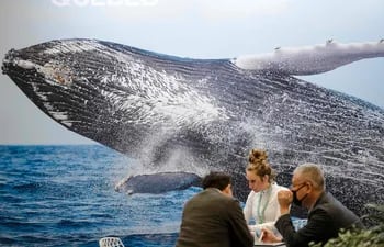 Participantes de la Conferencia COP15 en Montreal, junto a una fotografía gigante de una ballena.