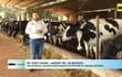 Aumento de producción de leche con microorganismos eficaces