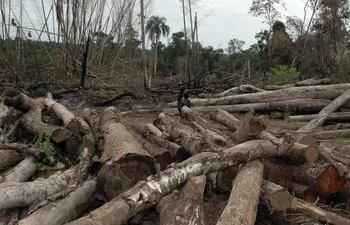 la-deforestacion-aumento-a-partir-del-decreto-que-exime-de-la-evaluacion-a-montes-menores-de-500-hectareas-en-la-region-oriental--210306000000-1037411.jpg