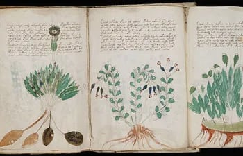 manuscrito-voynich-101318000000-1646045.jpg