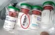 Cuatro de las ampollas compradas en farmacia La Merced, según denuncian. En una  se lee: “Uso exclusivo del IPS”.