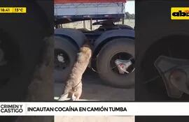 incautación de cocaína en camión tumba