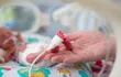 Un bebé recién nacido prematuro en una incubadora.
