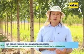 Fertilización en producción forestal, algo no habitual