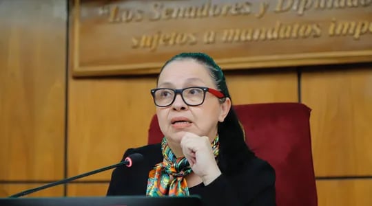 La congresista opositora hizo hincapié en que en Paraguay hay división de poderes, por tanto los 23 senadores no podían inmiscuirse en el Poder Judicial.