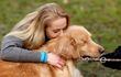 Un nuevo estudio sugiere que algunos cambios de conducta y emocionales podrían ser indicativos del duelo de un perro por la muerte de otro animal.