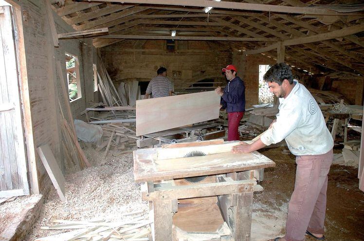 La madera - Escolar - ABC Color