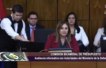 La defensora general, María Lorena Segovia, durante su exposición ante la Comisión Bicameral de Presupuesto del Congreso.
