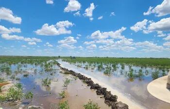 El río Pilcomayo está metiendo aguas bajas en la zona del estero Patiño. Foto gentileza del Dr. Manuel Cardozo.