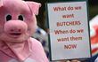 Un manifestante disfrazado de cerdo protesta por la falta de trabajadores en la industria cárnica porcina en el Reino Unido.
