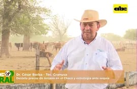 Abc Rural: Destete precoz de ternero en el Chaco y estrategia ante sequía