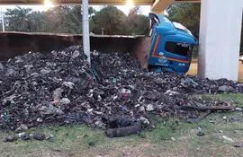 Camión volcado a un costado del viaducto del Botánico con la carga de basura desparramada.