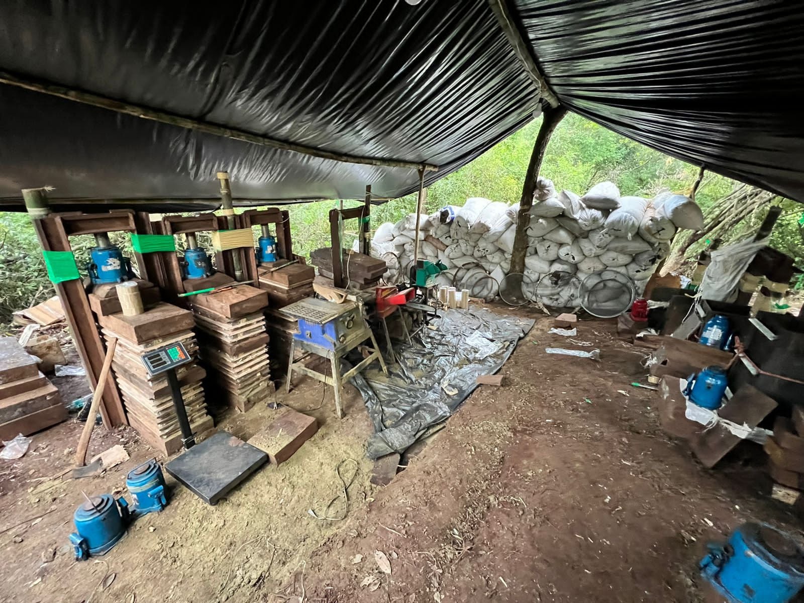 Incautación y destrucción de casi 9 toneladas de marihuana en Amambay