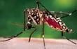 el-dengue-es-como-una-cadena-que-pasa-de-una-persona-a-otra-y-el-responsable-es-el-mosquito-hembra-denominado-aedes-aegypti--200755000000-1420375.jpg
