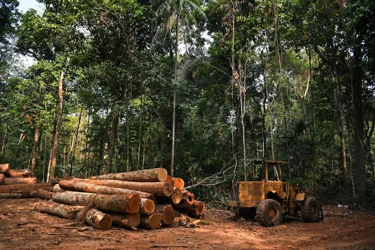 Deforestación en Alta Floresta, Mato Grosso, Brasil.