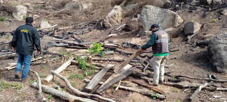 Más de dos hectáreas de bosque fue destruido presumiblemente en Ybycuí