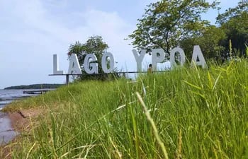 Lago Ypoá se encuentra en estado de abandono en medio de matorral.