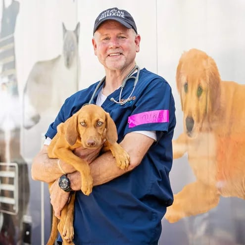 Mike McFarland, jefe médico de Zoetis, el mayor productor mundial de medicamentos y vacunas para mascotas y ganado.