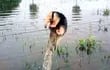 un-oso-melero-lucha-por-sobrevivir-a-la-crecida-en-el-pantanal-paraguayo-en-el-alto-paraguay--212518000000-1101537.jpg