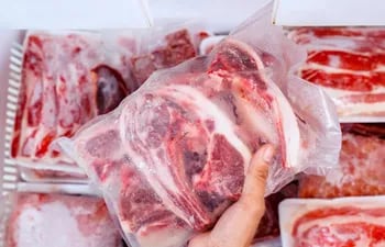 Francia prohíbe importar carne de animales tratados con antibióticos de  crecimiento.