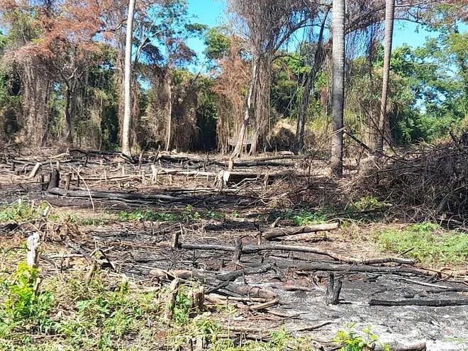 Deforestación causada por invasores campesinos, en la propiedad de Ronald Smith Kennedy, en Carayao, Caaguazú.