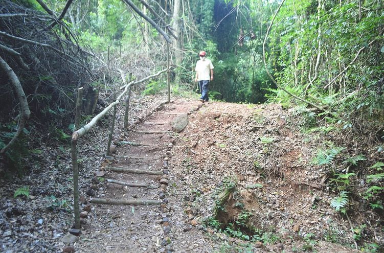 El sendero habilitado por la comunidad nativa por el bosque.