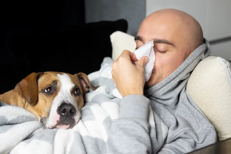 Un hombre resfriado se suena los mocos, mientras su perro le hace compañía.