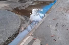 Agua perdida en la calle