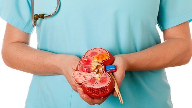 Los órganos de un ser querido pueden dar vida a otra persona