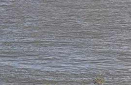 Búsqueda de pescador desaparecido en aguas del río Paraná.