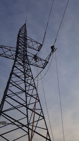 Técnicos de la Ande localizaron y arreglaron la avería en la línea de 220 mil voltios en Gleba 8, San Alberto.