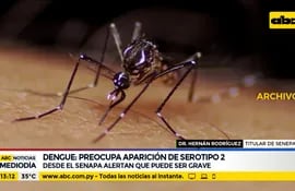 Preocupa aparición del serotipo 2 de Dengue