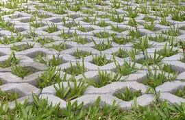 existe-un-pavimento-especial-de-cemento-que-se-coloca-en-los-patios-donde-incluso-puede-seguir-creciendo-el-cesped-y-soporta-muy-bien-el-peso-de-los-201206000000-1557051.jpg