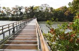 parque-iguazu-una-maravilla-natural-que-anuncia-pasarelas-inteligentes-190649000000-1373849.jpg