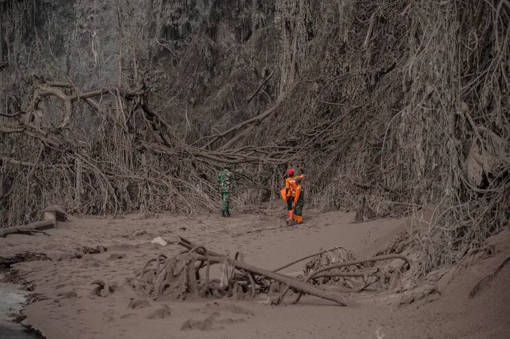 Personal de rescate busca posible sobrevivientes en un área cubierta de cenizas volcánicas, en la villa de Sumber Wuluh luego de la erupción del volcán Semeru.