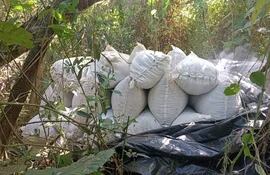 Bolsas con marihuana picada hallada en el Parque Nacional Caazapá