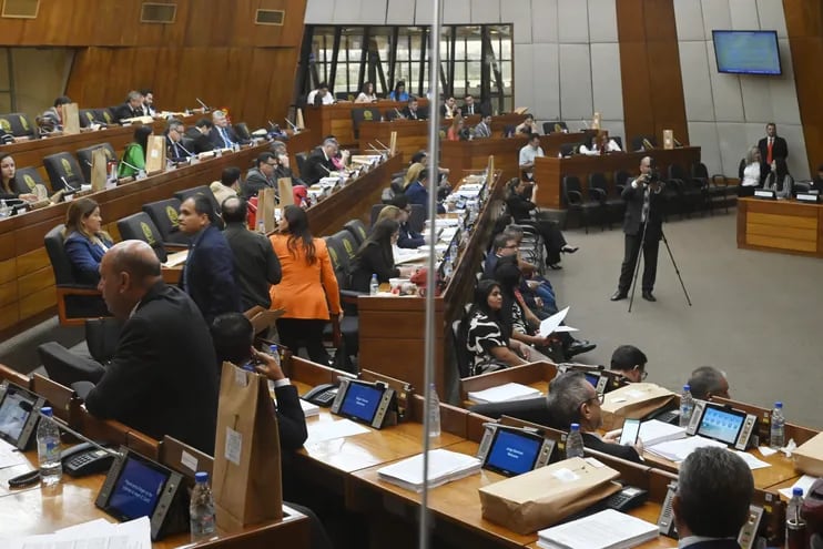En su última sesión ordinaria del año, la Cámara de Diputados finalmente dio media sanción al proyecto de ley "orgánica penitenciaria".