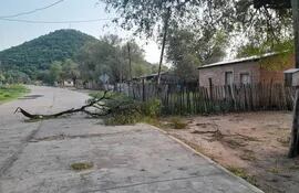 La fuerza del viento de anoche produjo el desprendimiento de ramas de árboles en Fuerte Olimpo.