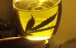 El aceite de cannabis se ha utilizado durante siglos como un remedio natural para la discapacidad, el dolor crónico y otros problemas de salud.