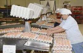la-produccion-de-huevos-se-ha-fortalecido-en-el-pais-con-sistemas-modernos-en-varios-niveles-de-la-cadena--210109000000-1496683.jpg