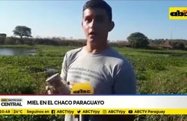 Miel en el chaco paraguayo
