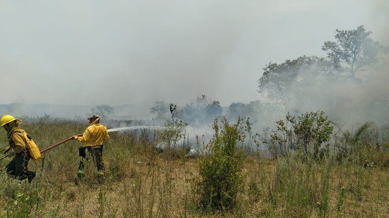 Imagen referencial de incendio forestal.