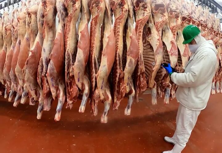 El productor que invierte para lograr una mejor carne no logra un precio diferenciado por el trabajo que realiza.
