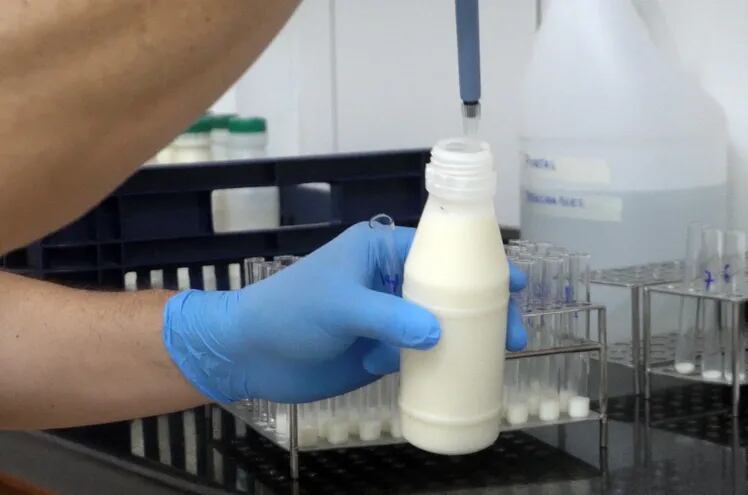Las marcas realizan un estricto control de la leche cruda.
