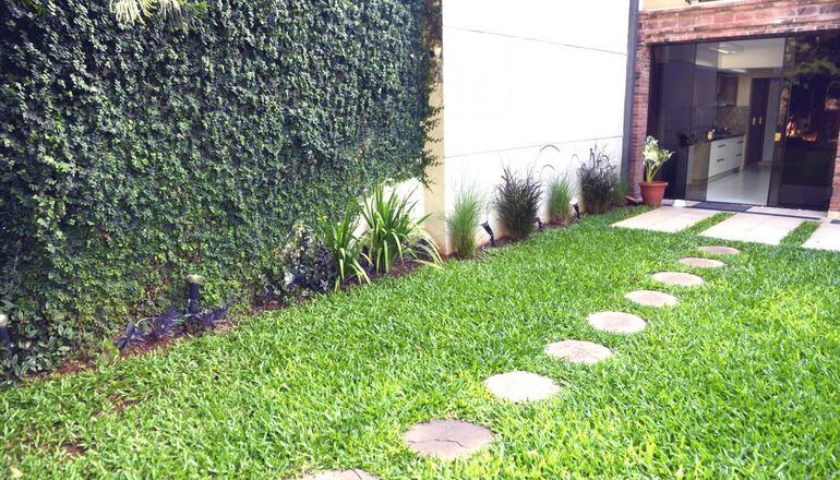 Preparar el suelo - Casa y Jardín - ABC Color