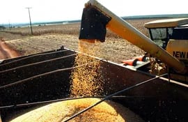 los-productores-intensifican-las-cosechas-de-maiz--203455000000-576799.jpg